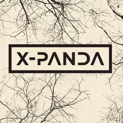 Reflections. X-Panda / X-Panda
