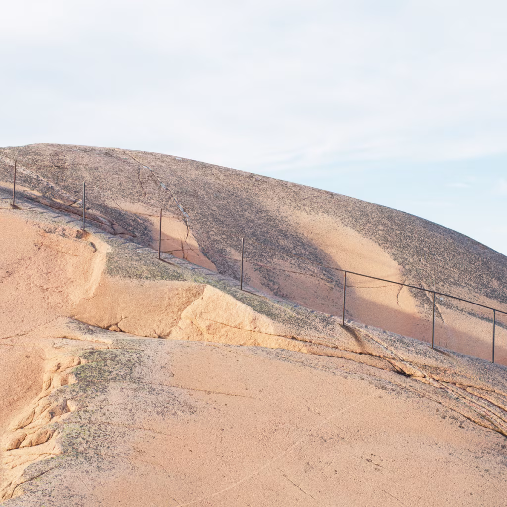 Woolgathering. Liis Ring / Õunaviks