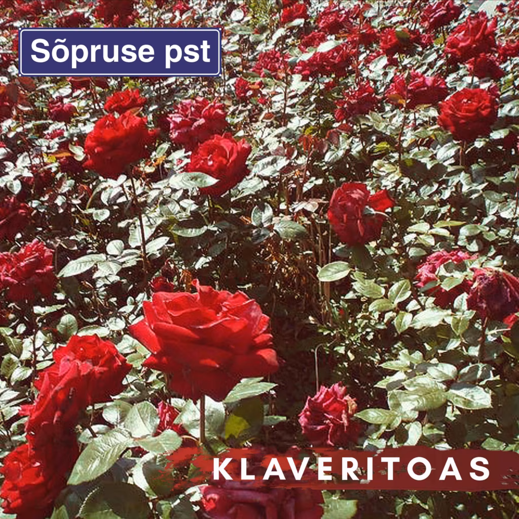 Sõpruse Puiestee. Klaveritoas / Sõpruse Puiestee