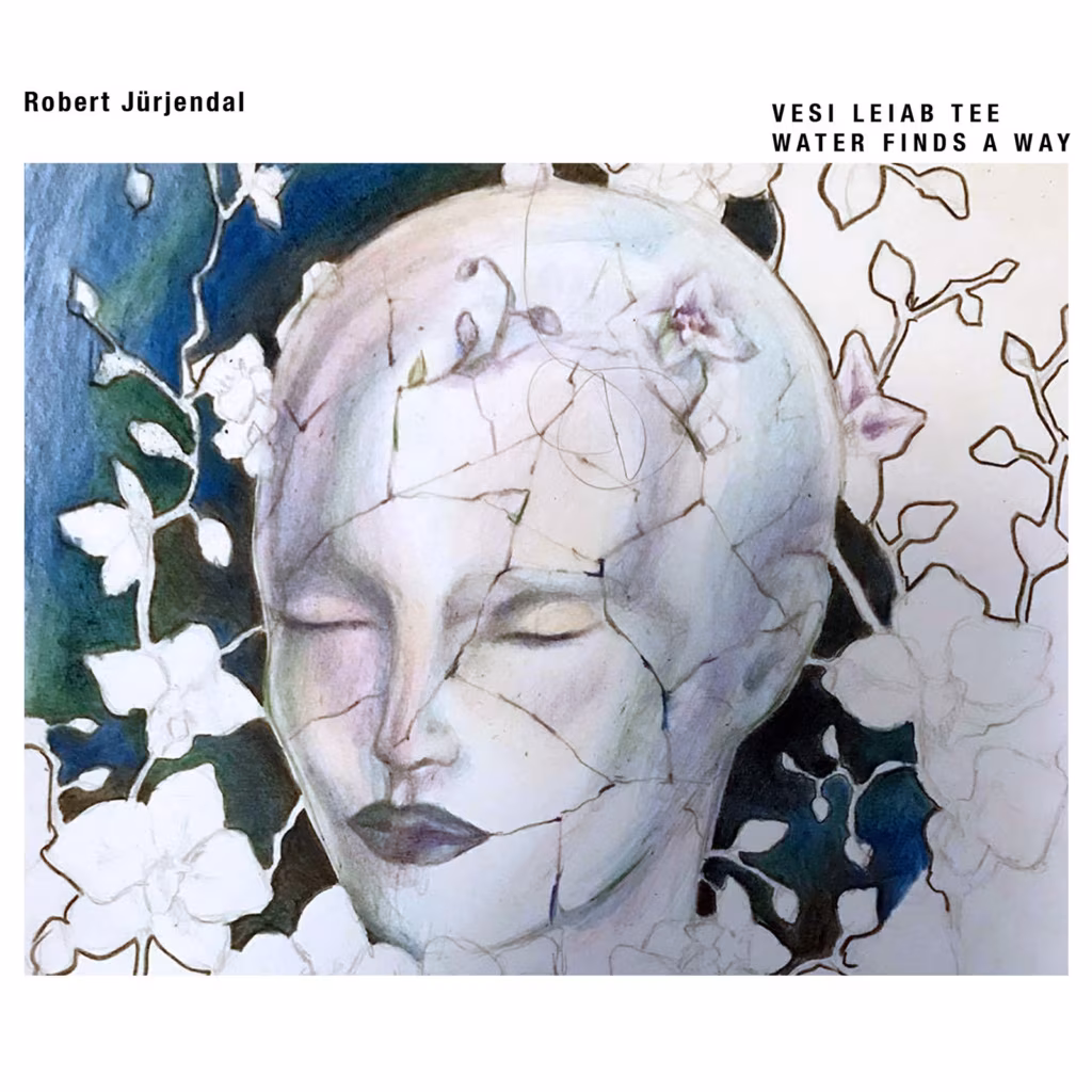 Robert Jürjendal. Vesi leiab tee / Newdog Records