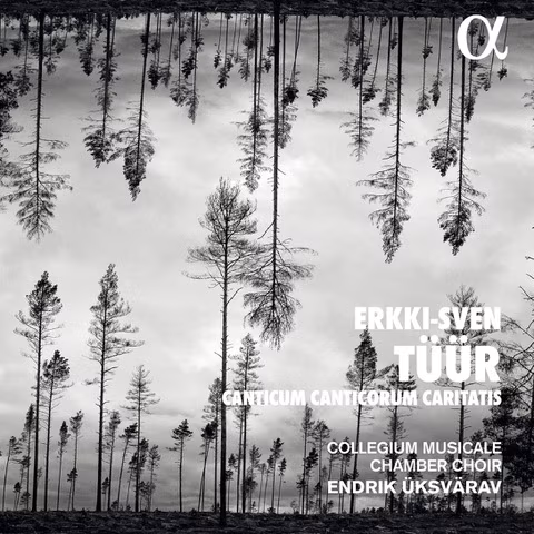 Erkki-Sven Tüür “Canticum Canticorum Caritatis”. Collegium Musicale, Endrik Üksvärav